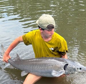 Sturgeon