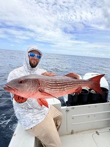 African Red Snapper