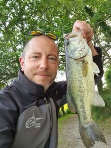 Largemouth Bass
