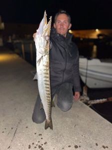 Yellowmouth Barracuda