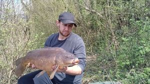 Mirror Carp
