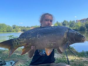 Mirror Carp