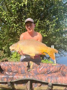 Mirror Carp