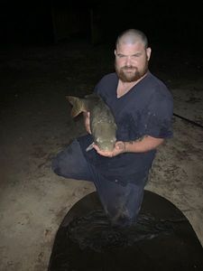 Leather Carp