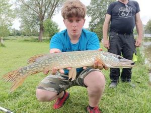 Northern Pike