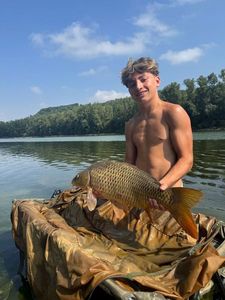 Common Carp