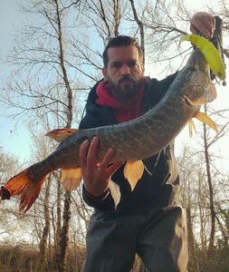 Northern Pike