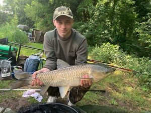 Grass Carp