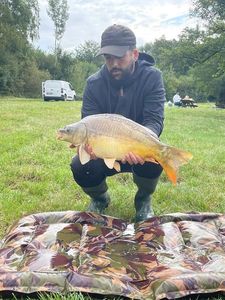 Mirror Carp