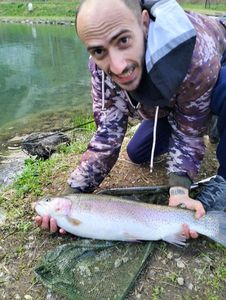 Rainbow Trout