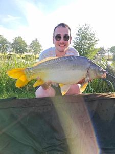 Mirror Carp