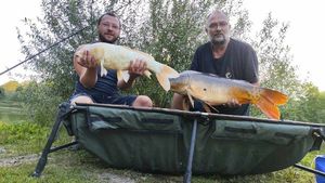 Mirror Carp