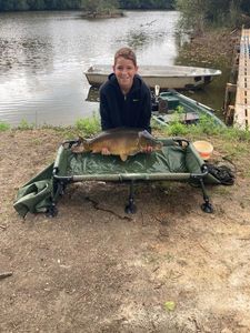 Mirror Carp