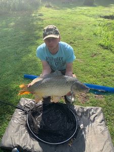 Common Carp