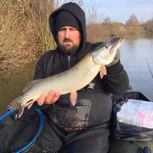 Northern Pike