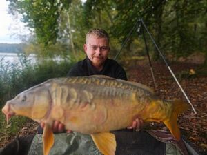Mirror Carp
