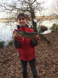 Northern Pike