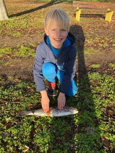 Rainbow Trout