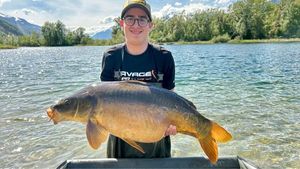 Mirror Carp