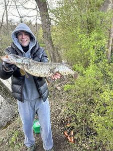 Northern Pike