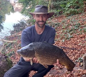 Common Carp