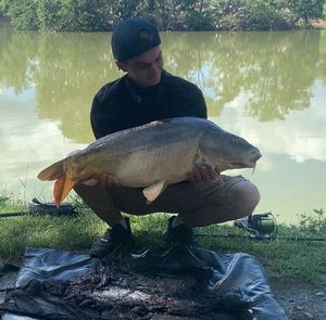 Mirror Carp