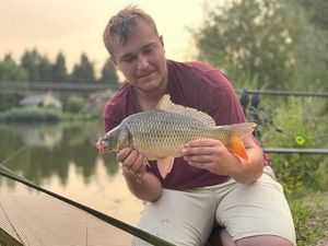 Common Carp