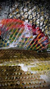 Grayling