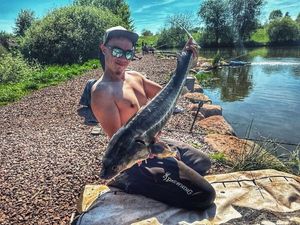 Sturgeon
