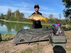 Mirror Carp