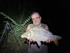 Mirror Carp