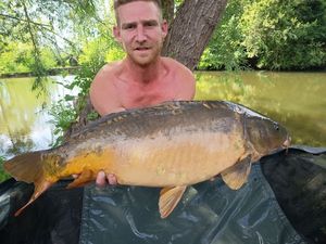 Mirror Carp