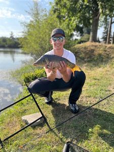 Common Carp