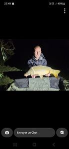 Mirror Carp