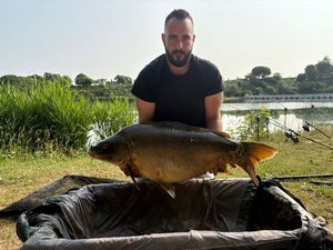 Mirror Carp