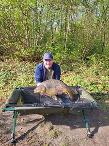Mirror Carp
