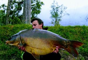 Mirror Carp