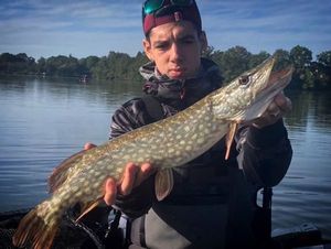 Northern Pike