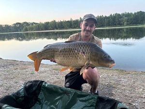 Common Carp