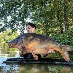 Mirror Carp