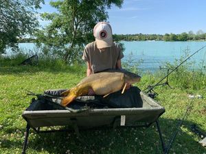 Mirror Carp