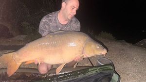 Mirror Carp