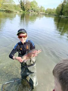 Rainbow Trout
