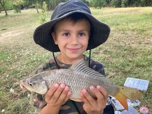 Common Carp