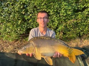Mirror Carp