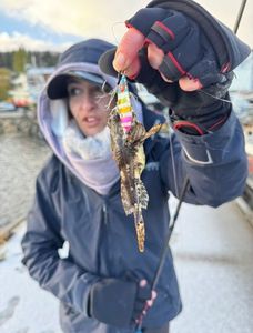 Shorthorn sculpin