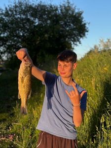 Largemouth Bass