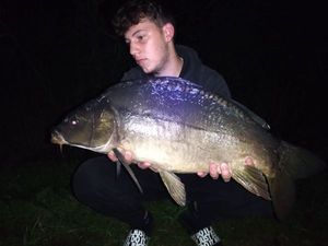 Mirror Carp