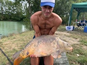 Mirror Carp