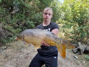 Mirror Carp
